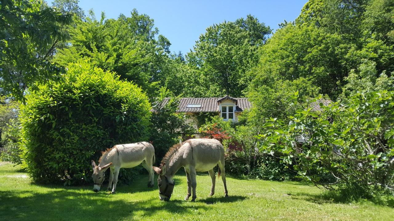Le Moulin De Pensol - Gites Kültér fotó