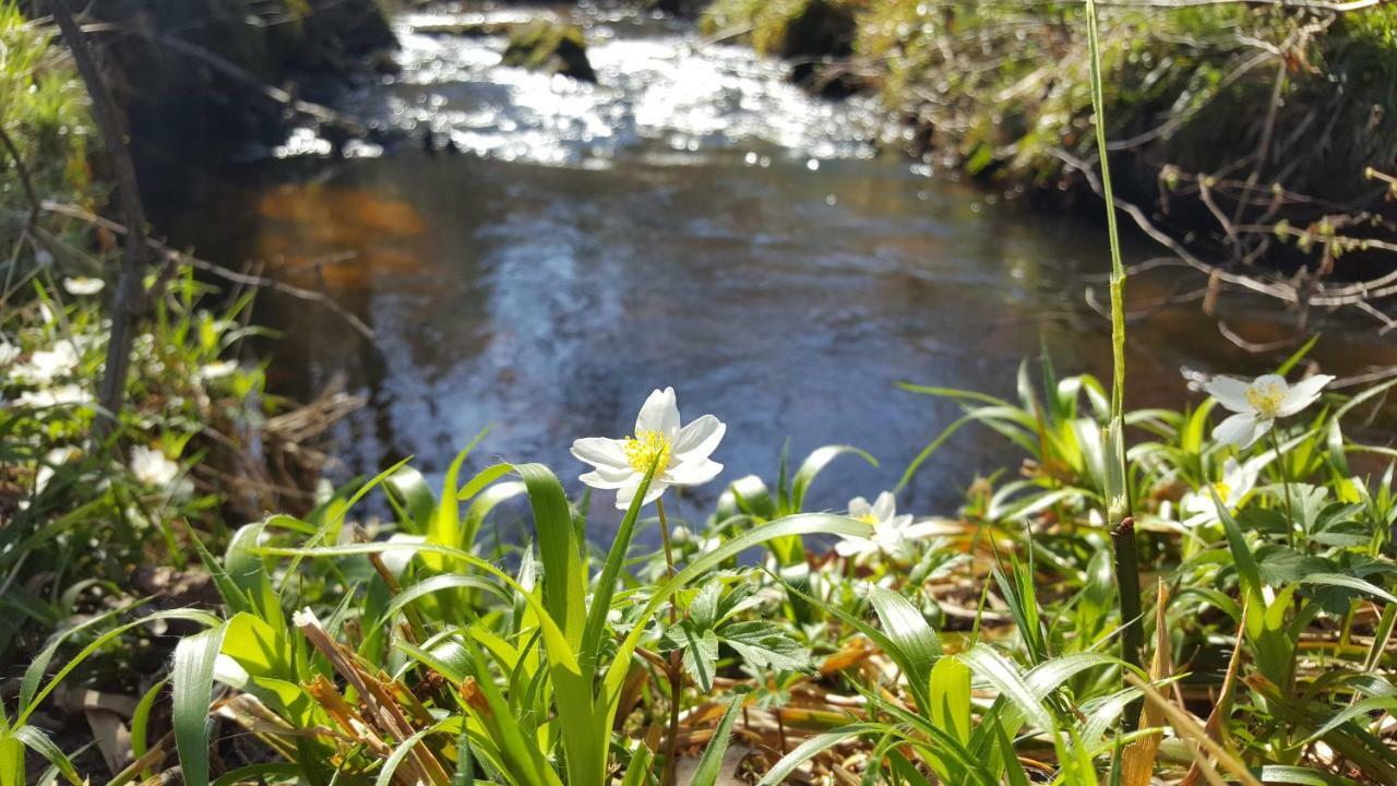 Le Moulin De Pensol - Gites Kültér fotó